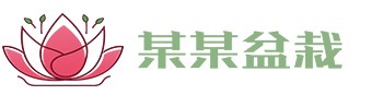 利发国际(中国)官方网站·IOS/手机版APP下载/APP